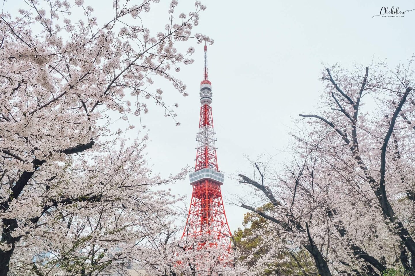 tháp tokyo du lịch