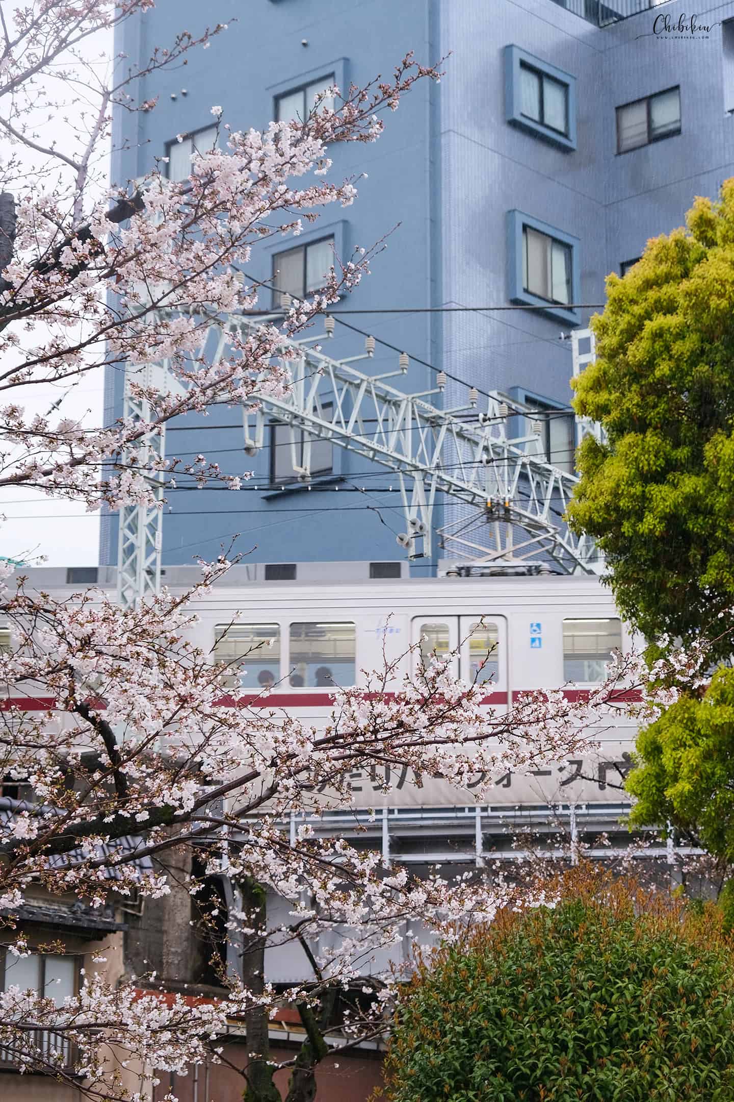 di chuyển ở tokyo