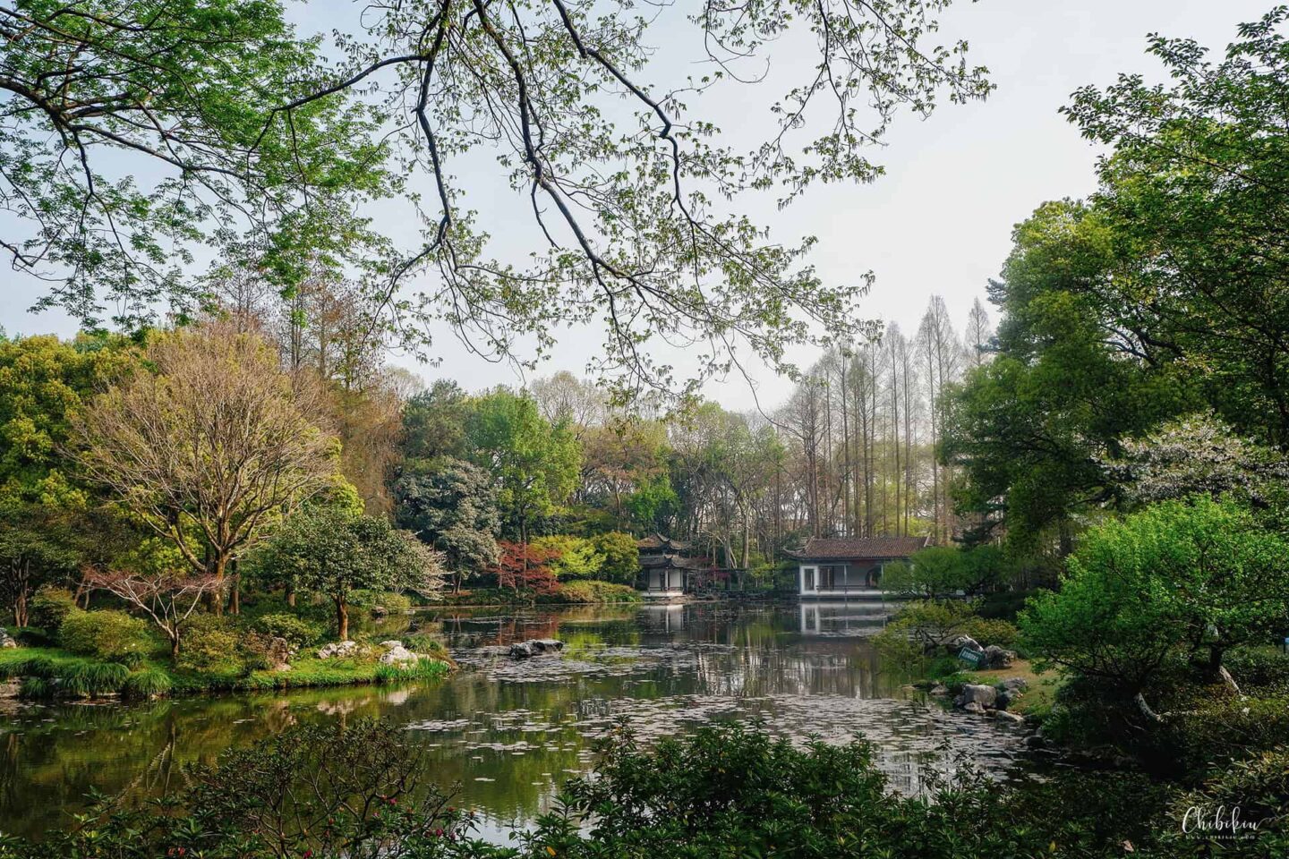 phong cảnh hàng châu