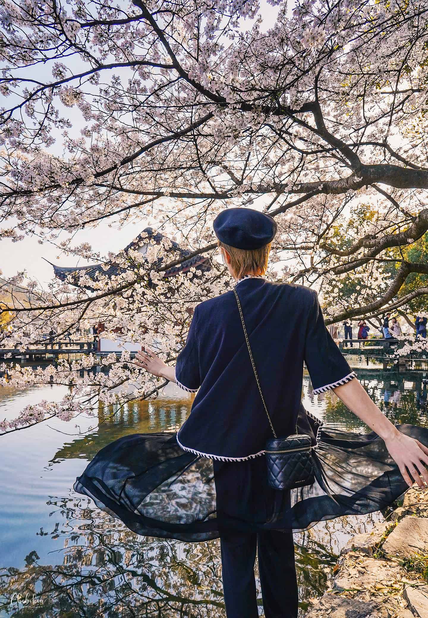 hoa anh đào hàng châu