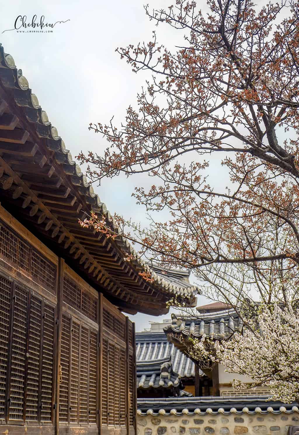 Kinh nghiệm du lịch Seoul Hàn Quốc - Chibikiu